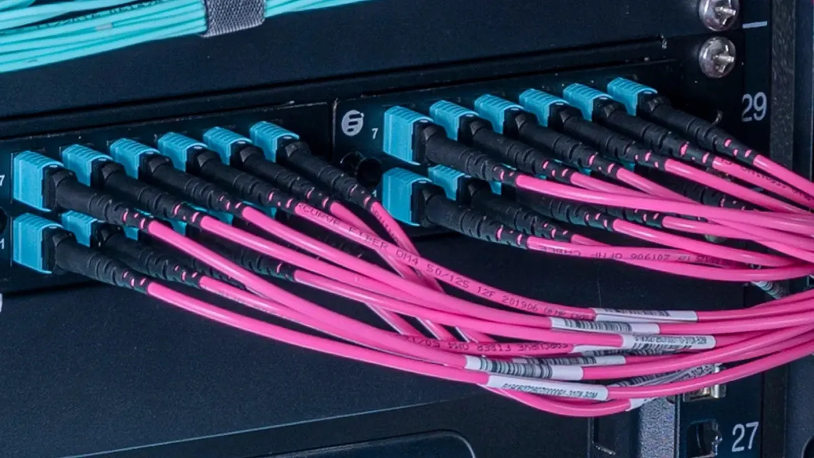 MTP/MPO fibre trunk cables patched into a data centre rack